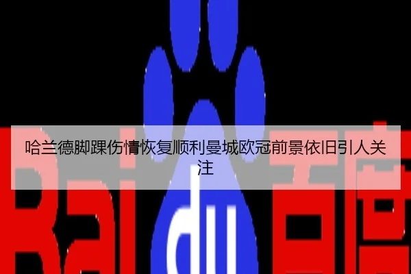 哈兰德脚踝伤情恢复顺利曼城欧冠前景依旧引人关注
